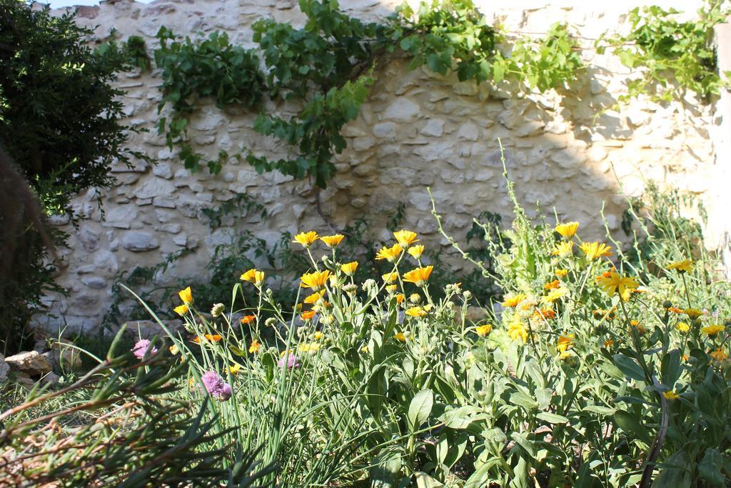 La Montagute Βίλα Thezan-des-Corbieres Εξωτερικό φωτογραφία